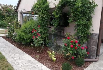 Casă cu Teren 1457 Mp în Rudna - 18