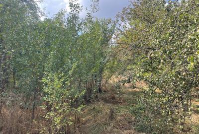 Potlogi Sat Pitaru Imobil P+1+Pod 7 Camere An 1995 Potlogi Sat Pitaru Imobil P+1+Pod 7 Camere An 1995 - 5