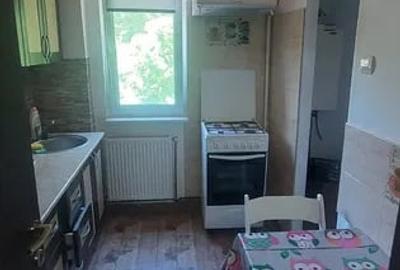 Apartament cu 2 camere semidecomandat, mobilat în Podu Roș - 4