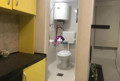 2 garsoniere de vanzare Mosilor, Sector 2-Marian - 4