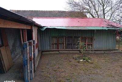 Casă cu 6 camere cu Teren 2880 Mp în Șagu - 2