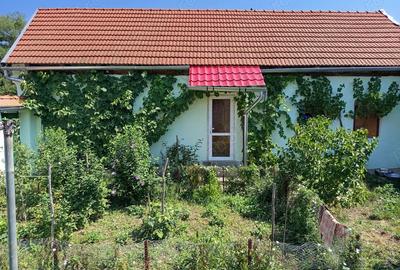 Casă cu 2 camere în Ilidia - 3