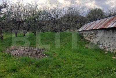 Spațiu comercial, în Gemenea-Brătulești - 9