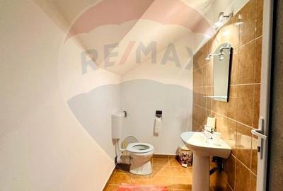 Vila la Munte - in Breaza, Prahova Vila la Munte - in Breaza, Prahova - 22