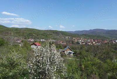 Teren de 2278 mp, în Jiblea Veche - 2