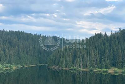 Comision 0% Teren 2136mp cu autorizatie | Iesire la Lacul Belis! - 6