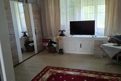 Casa Teremia Mare - 4