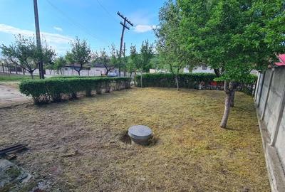 Casă cu 3 camere în Teslui - 7