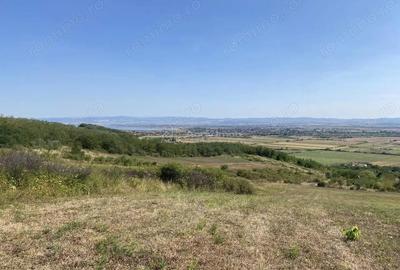 Teren extravilan de vanzare in Tileagd - 3166 mp cu panorama superba - 14