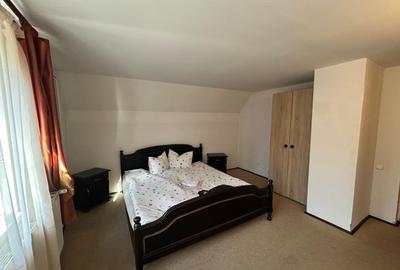 Pensiune de vanzare in statiunea Paltinis,Sibiu- Afacere la cheie - 8