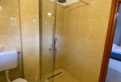 Studio la mansarda unei case P+M, in zona Spitalului Judetean - 1