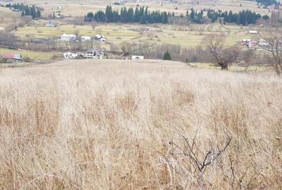 Teren de 50000 mp, în Central