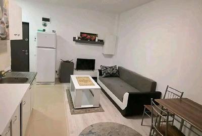 Apartament cu 2 camere decomandat în Roșu - 4