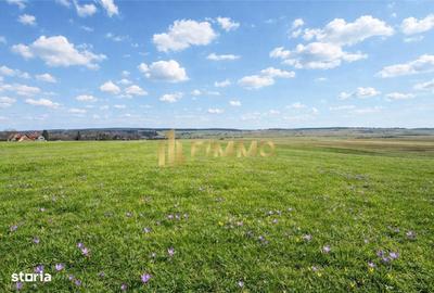 Spațiu comercial, în Dragomirna