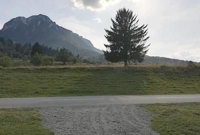 Teren de 4880 mp, în Plaiul Foii - 3