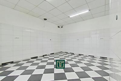 Apartament de vanzare la parter cu două intrări, Andrei Șaguna - Arad - 5