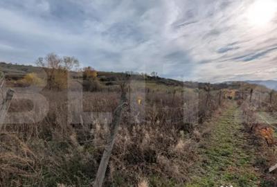 Teren de 2000 mp, în Șard - 1