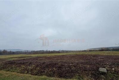 Teren de 101 mp, în Tăuții-Măgherăuș - 2