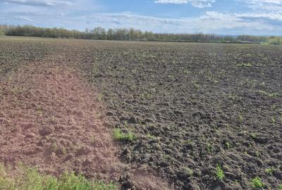 Spațiu comercial, în Goruni - 1