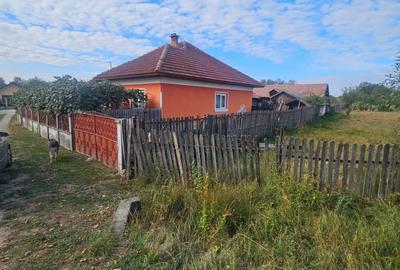 Casă cu 4 camere în Baia de Fier - 6