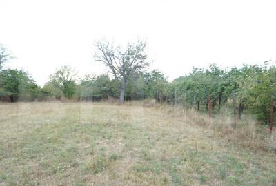 Teren intravilat 1777 mp, front 16 m, zona centru Aricestii - 2