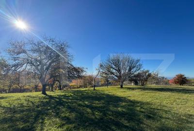 Teren extravilan 2000mp in Tarsa - 3