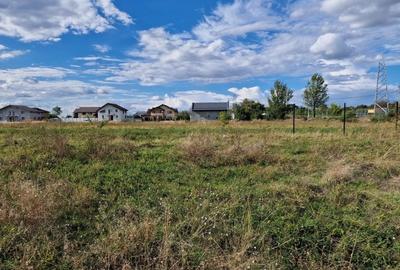 Str. Stadionului, langa Casa de Cultura - 6