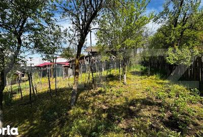 Casă cu 3 camere cu Teren 4200 Mp în Melinești - 2