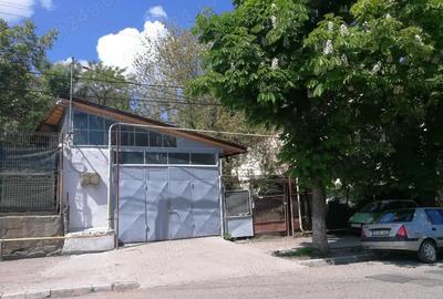 Copou Inchiriere Colaborare spatiu comercial 70 mp Service auto - 6