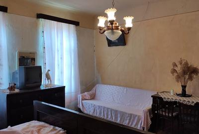 Casa din vaiuga cu toate utilitatile teren 798mp - comision 0% - 6