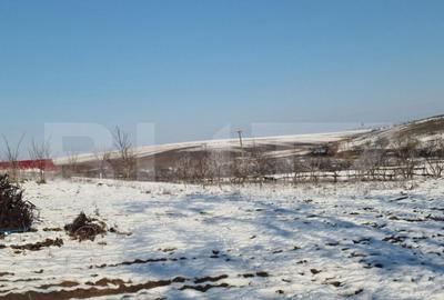 Teren intravilan 7.9 ha. Sandra - 6