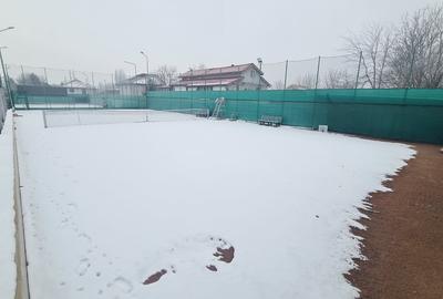 Teren de vânzare – 1322 mp în Mogoșoaia, investiție excelenta - 3