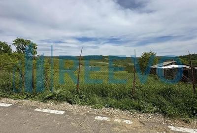 Teren de 5351 mp, în Roșiori - 6