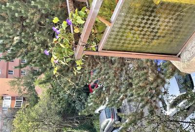 Apartament cu 2 camere decomandat în Grigorescu - 1