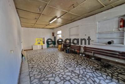 Spațiu industrial, 42.75 mp în Rovine