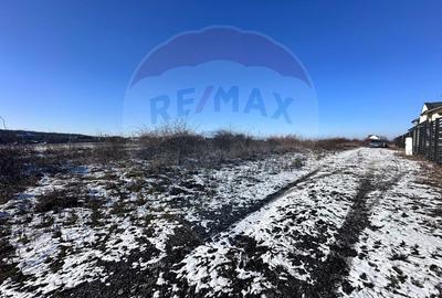Teren intravilan de 500 mp, în Corbeanca - 3