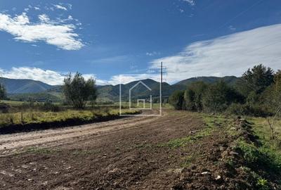 Teren intravilan 2020 mp cu deschidere 24 ml in zona Tocile 58 Euro/MP - 5