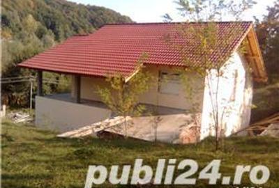 Casă cu 6 camere cu Teren 6000 Mp în Pietreni - 4