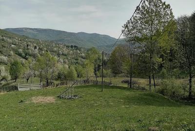 Vanzare teren exceptional, Valea Doftanei, Florei-Secaria, 22000mp, 250 000 euro - 5