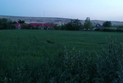 Teren Construcții intravilan de 3850 mp, în Țibrinu - 2