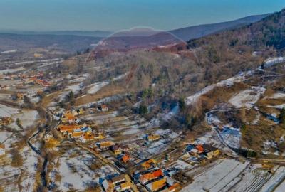 CASA 3 CAMERE SINCA NOUA / 5650 mp teren - 6