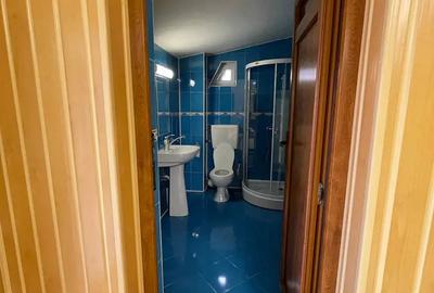 Dobroesti - spatiu comercial - 4
