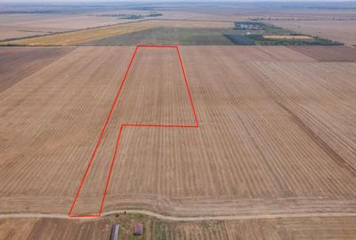 FRUMUSANI - PASAREA, TEREN 14420 MP, FRONT 40 M! - 1