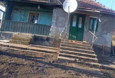 Casă cu 2 camere în Ceanu Mare - 2