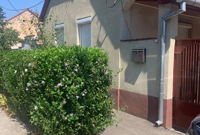 Casă cu 6 camere cu Teren 1500 Mp în Aradul Nou - 5