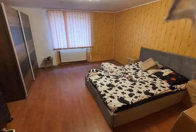 Casă cu 3 camere cu Teren 2175 Mp în Mailat - 8