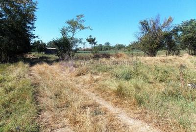 TUZLA - Teren intravilan 1000 mp, langa lacul Techirghiol! TUZLA - Teren intravilan 1000 mp, langa lacul Techirghiol! - 6