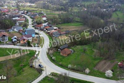 Casă cu 2 camere cu Teren 5800 Mp în Valea Danului - 2