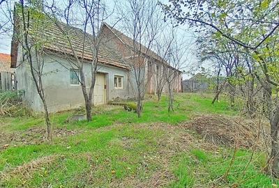 Casă cu potențial, teren generos de 1.440 mp – Secusigiu, Arad - 2