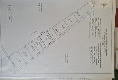 Proprietar, vand loturi de casa in Branesti, Pasarea, oferta buna - 3